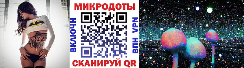 Галлюциногенные грибы Psilocybine cubensis  mega ссылка  Касимов 